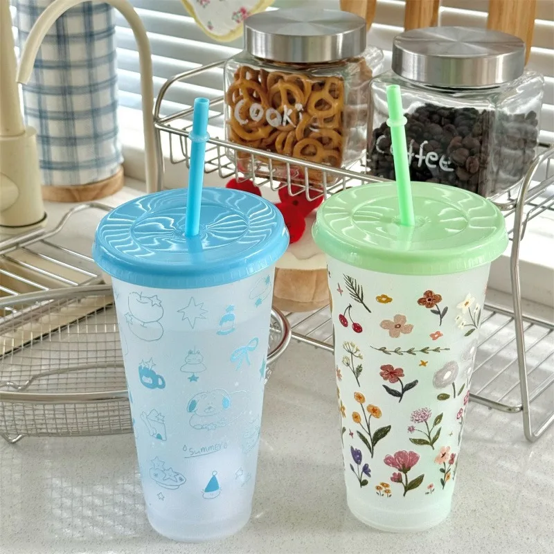 

Cute Flower Water Bottle For Coffee Juice Fruit Tea Tumbler Plastic Straw Cups 700ml Portable Reusable Drinking Bottle BPA Free