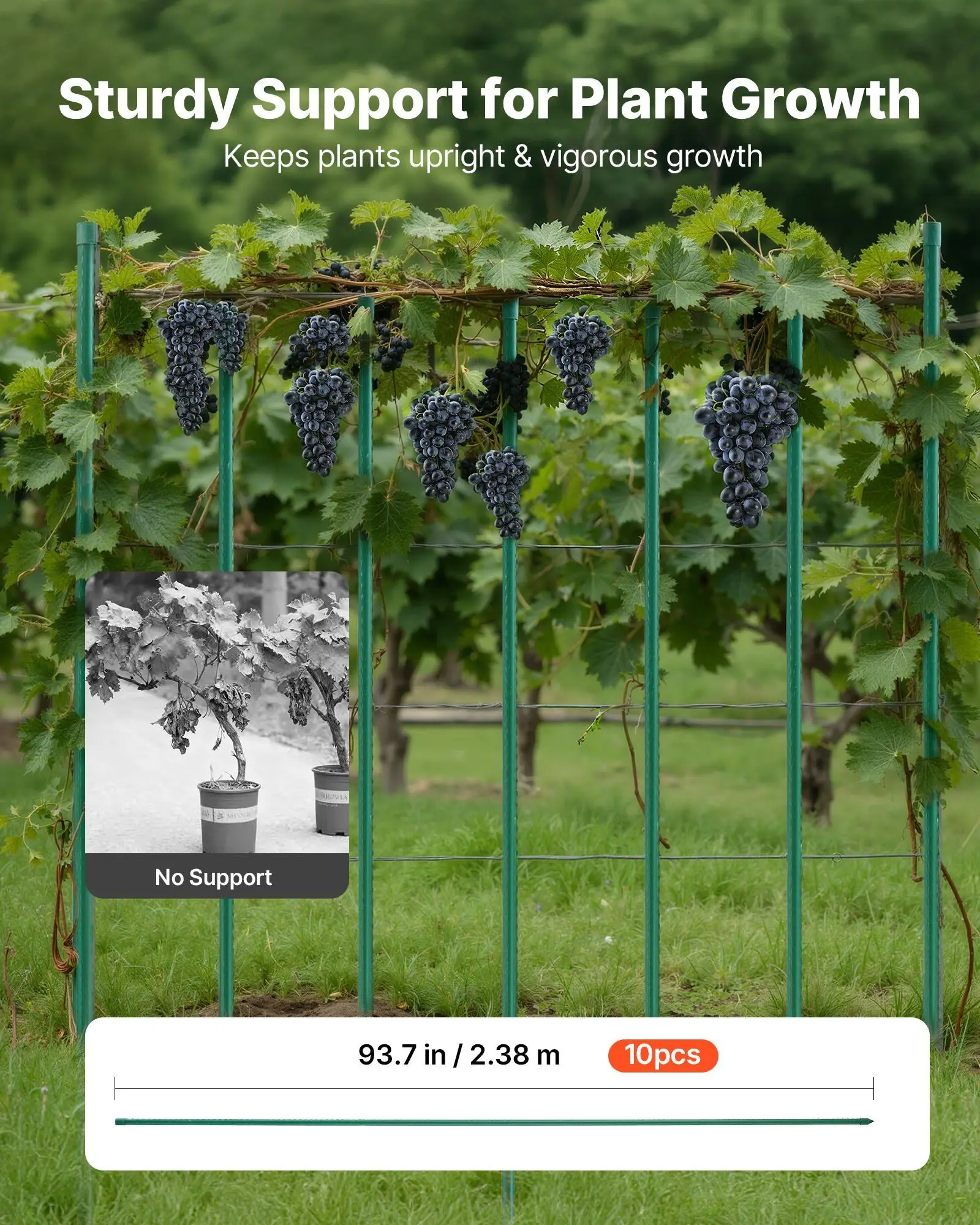 

Garden Stakes, 10 Pack, 93.7 inch, Plastic Coated Metal Tomato Stakes, Garden Sticks for Plants Support, with Pointed End and