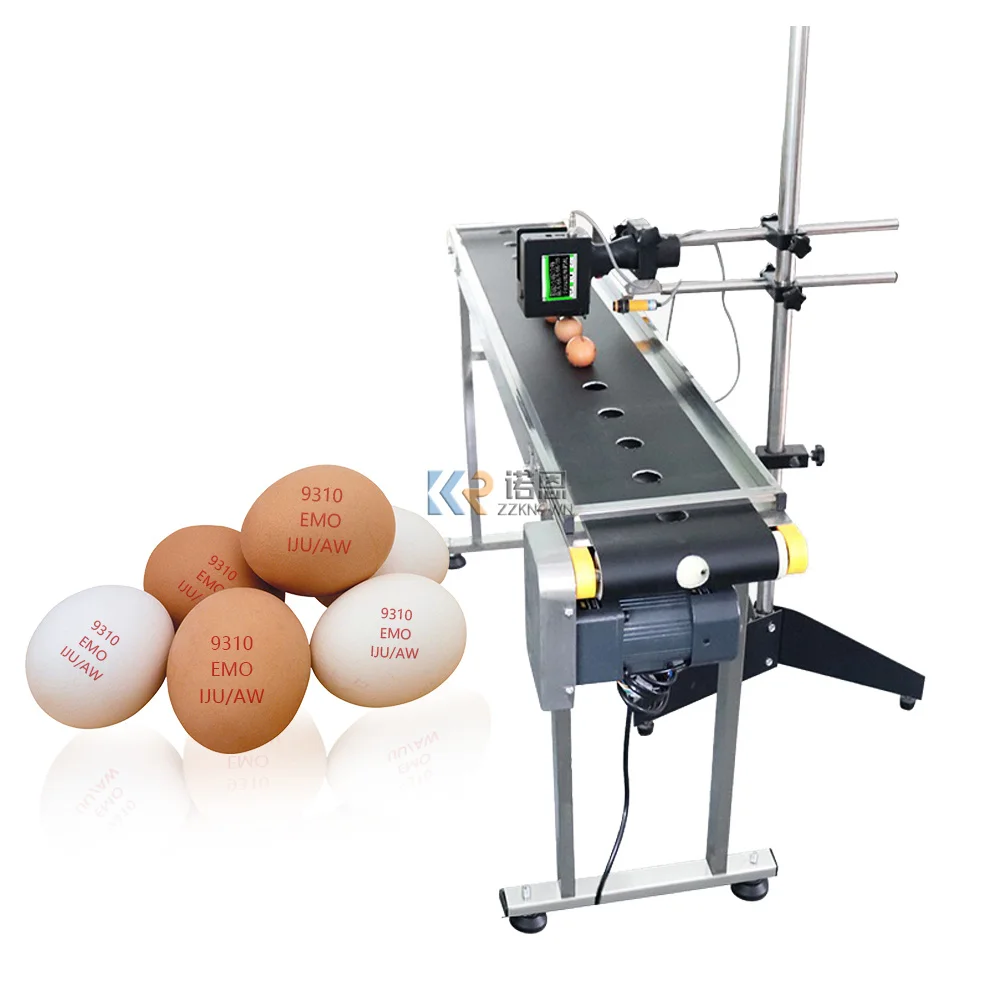 Adjustable Full Automatic Egg Printer Machine Expiry Date Egg Coding Conveyor Custom Inkjet Printing Machine for Food