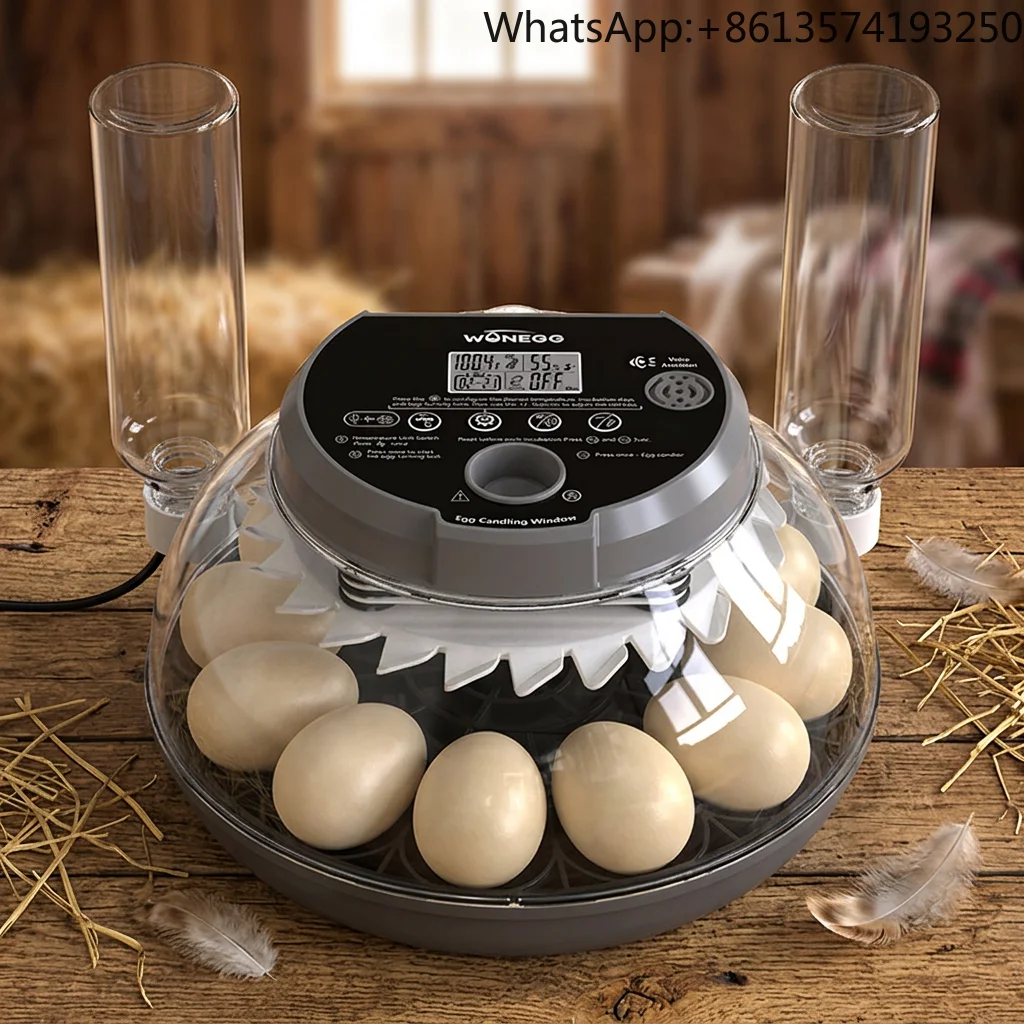 WONEGG Multifunctional Full Automatic Poultry Temperature Control T12 Chicken Incubator Machine Home Use 98% Hatching Rate