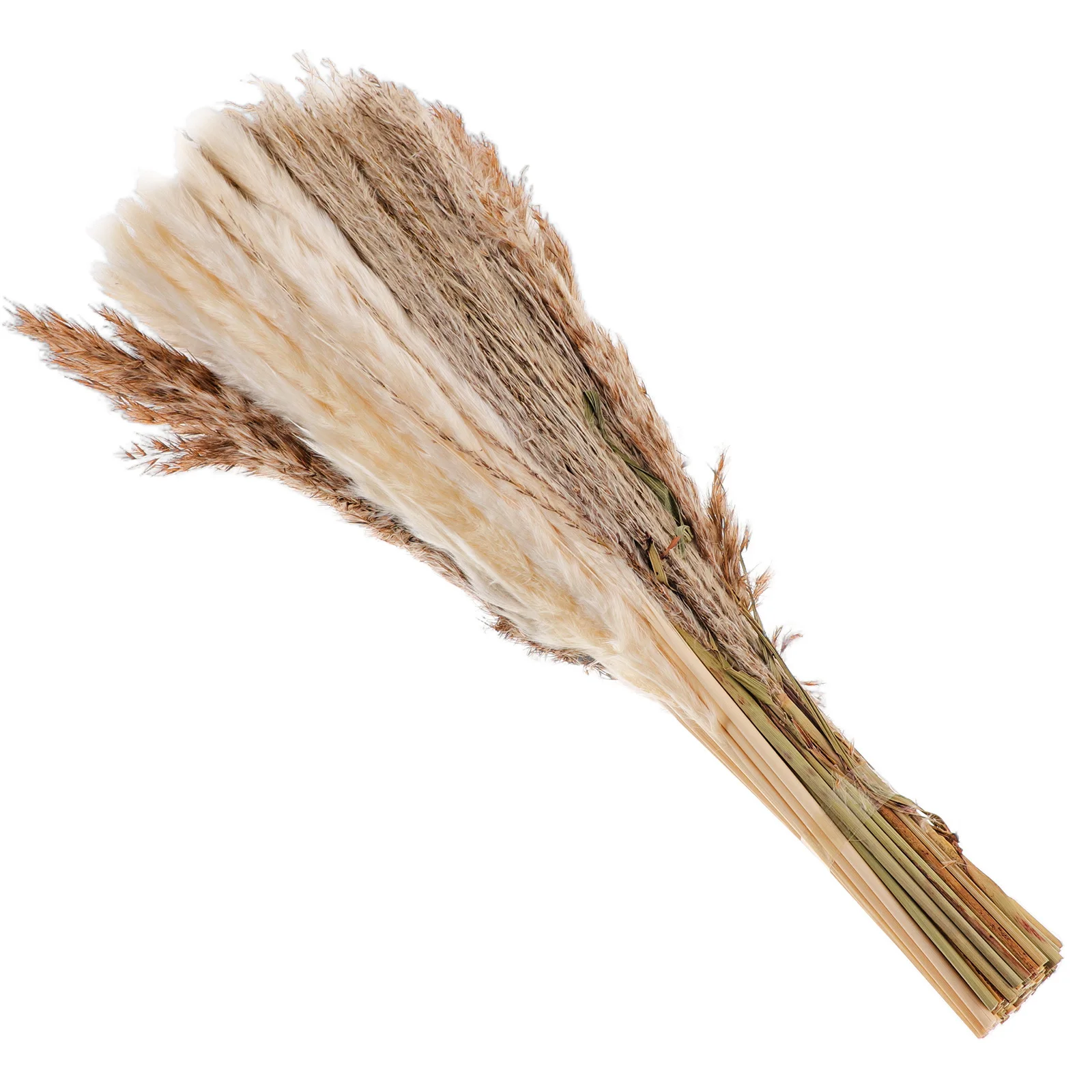 

1Set Fake Pampas Grass Plant Reed Arrangement Ideal for Vase Home Garden Party Wedding Decoration DIY Props Faux Pampas Grass
