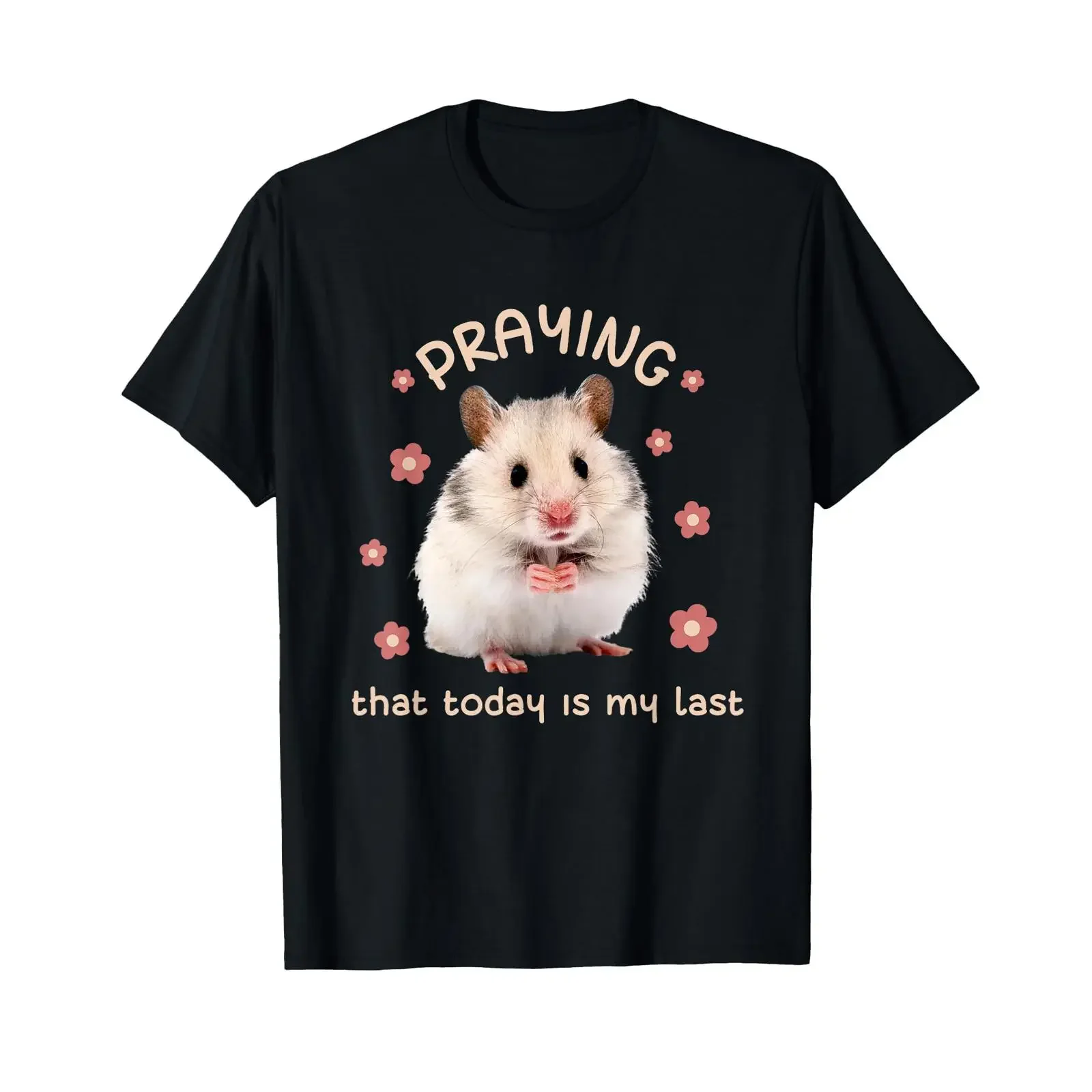 Pray The Today Is My Last Funny Hamster Dark Humour Meme T Shirt black vintage Washed homme Unisex Top For Everyday Wear