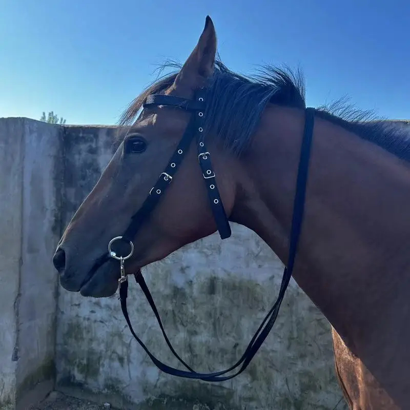 Brida de entrenamiento para caballos con 3 hebillas ajustables, halteres chapados engrosados para entrenar, entrenamiento ecuestre, líder de garganta y barbilla