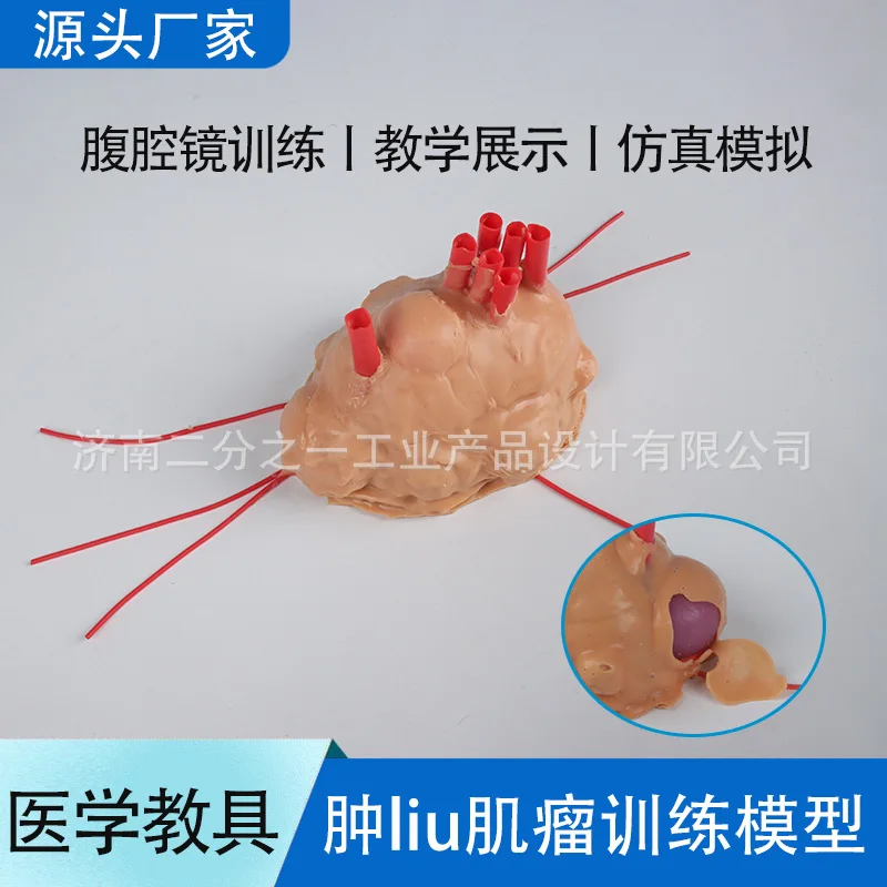 Surgical General Obstetrics And Gynecology Urocardiothoracic Laparoscopic Myoma Suture Silicone Training Module Model