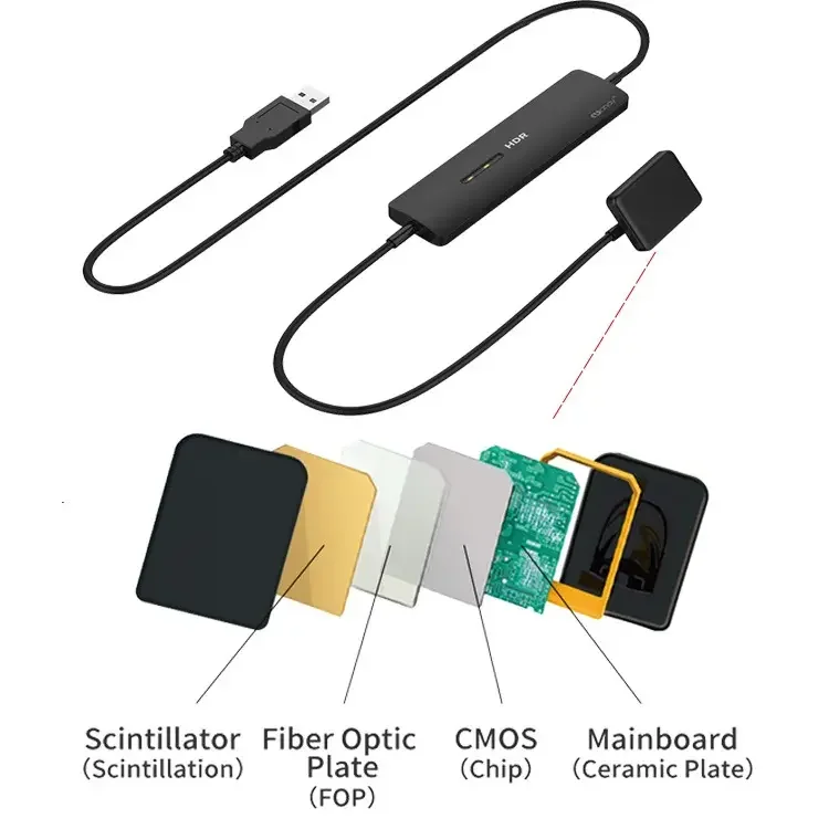 Equipment Intra-Oral Digital X-ray Imaging System  X-Ray Radiographic Digital  Sensor