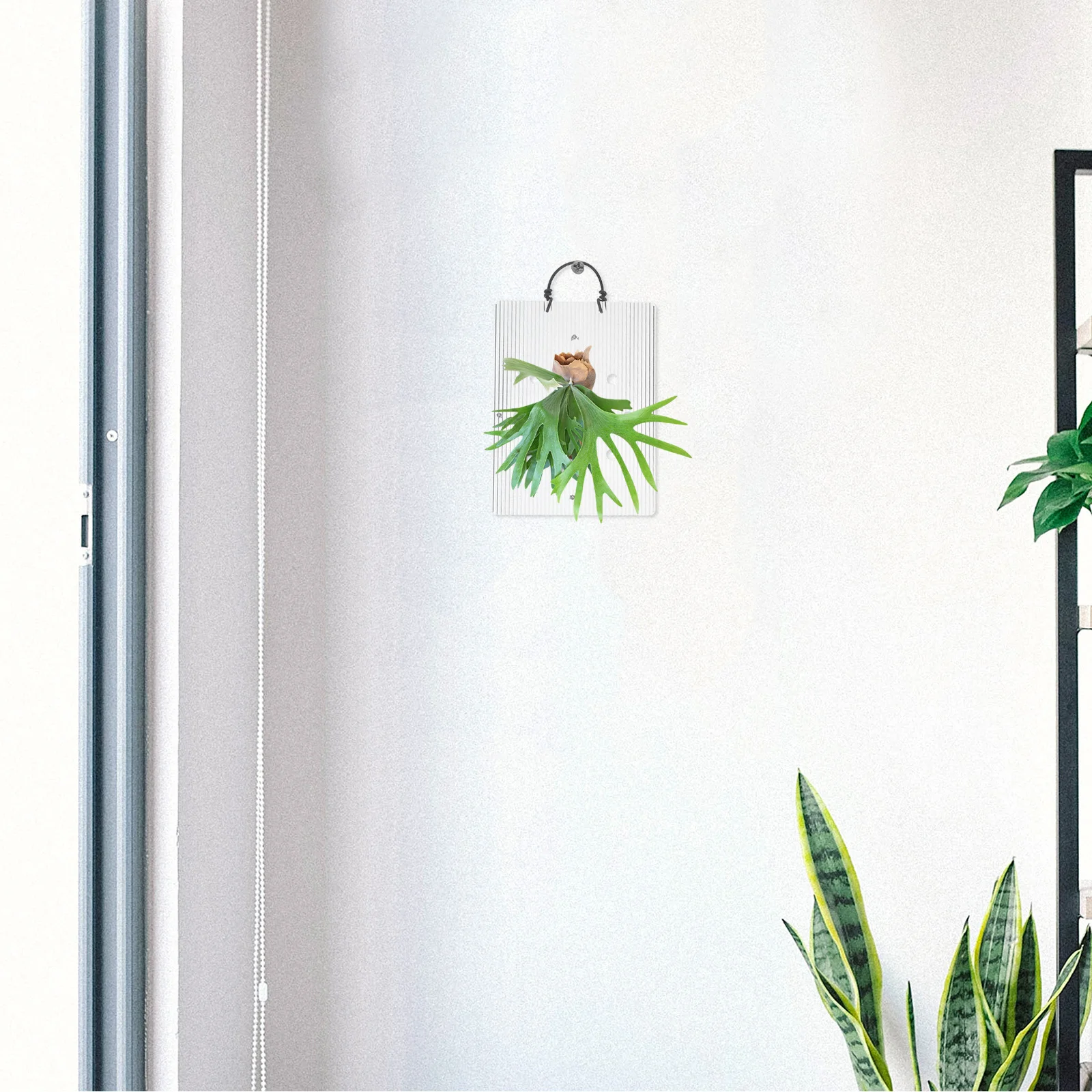 Tablero de montaje de helecho acrílico, marco de macetero de pared, plantas de interior verticales, fácil instalación, purificador de aire