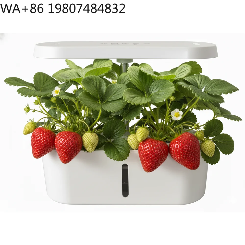 8-Loch-Silent-Zirkulations-Soi – Led Grow Light Bewertung und Preis