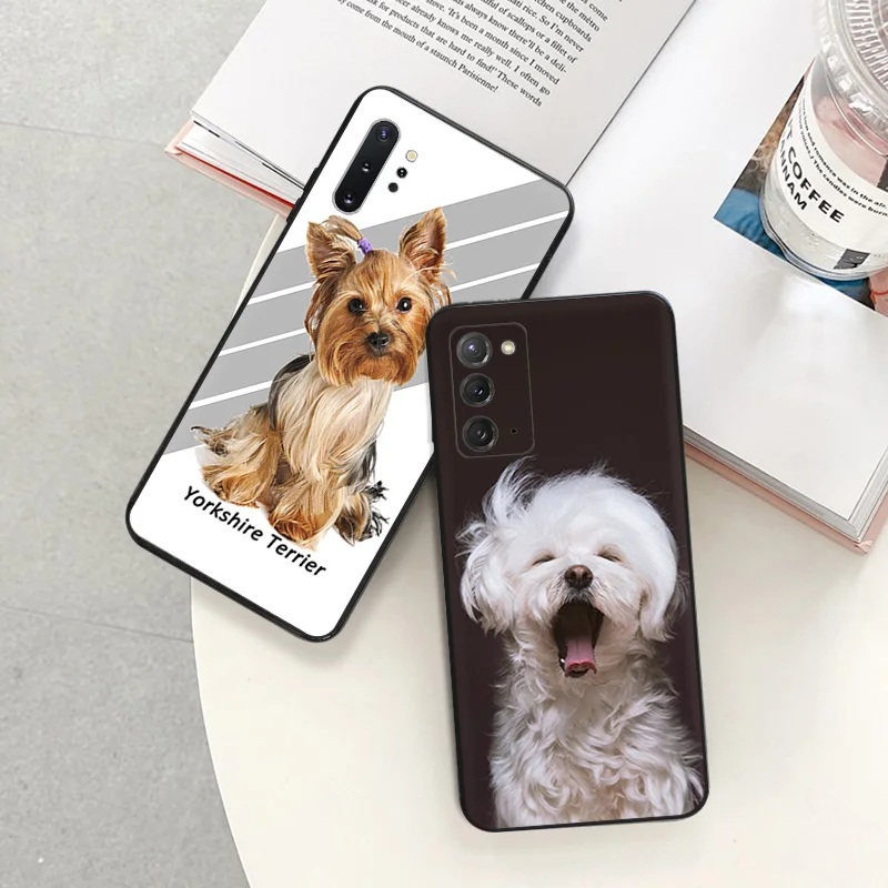 Phone Case for Samsung A35 5G A55 A02 A03 A04 A05 S8 S9 Note 10 Plus 9 8 Lovely Yorkshire Terrier Dog Soft Black Silicone Cover