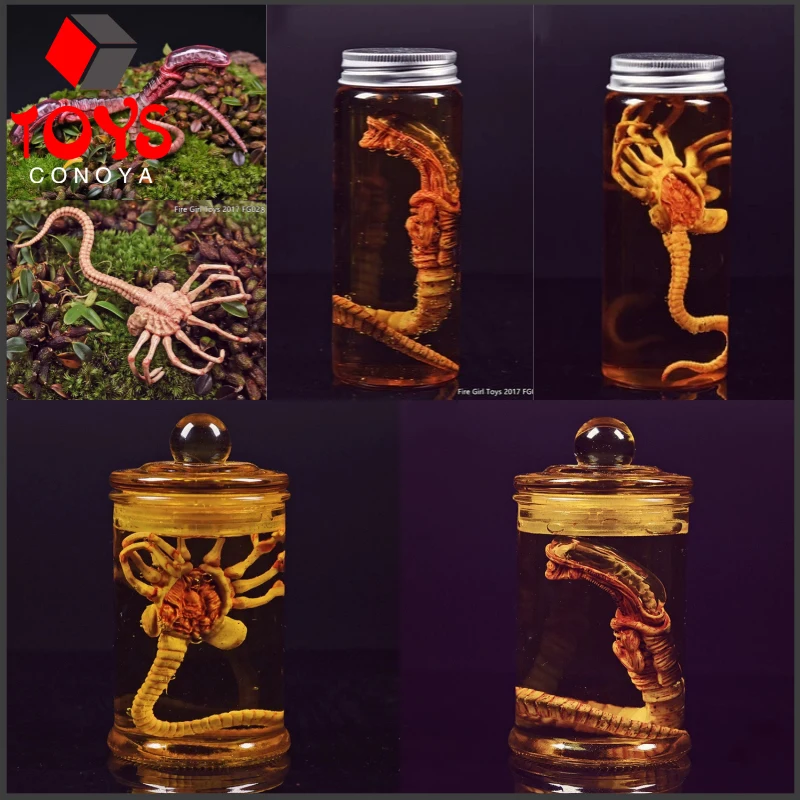

Fire Girl FG027-FG032 1/6 Alien Chestburster Facehugger Figure Model Scene Accessories Props Fit 12'' Soldier Action Figure Doll