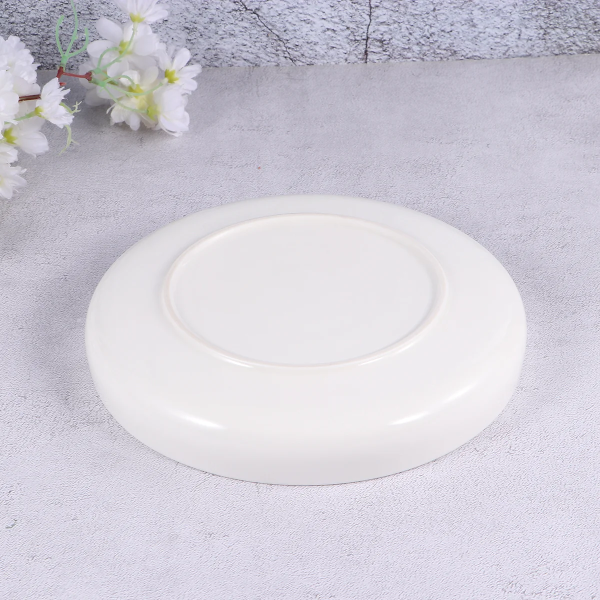 

Reptile Feeding Bowl Ceramic 21Cm White Shallow Pan for Turtle Lizard Amphibian Pet Drinking Dining Dish Strong Non-Slip Easy