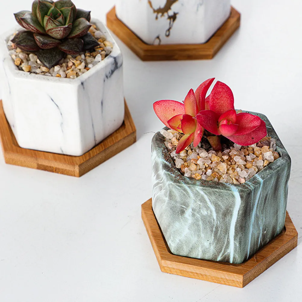 

4 Pcs Planter Terracotta Indoor Cactus Dark Decorative Pots Desktop Flower Garden Ceramic Air Holder