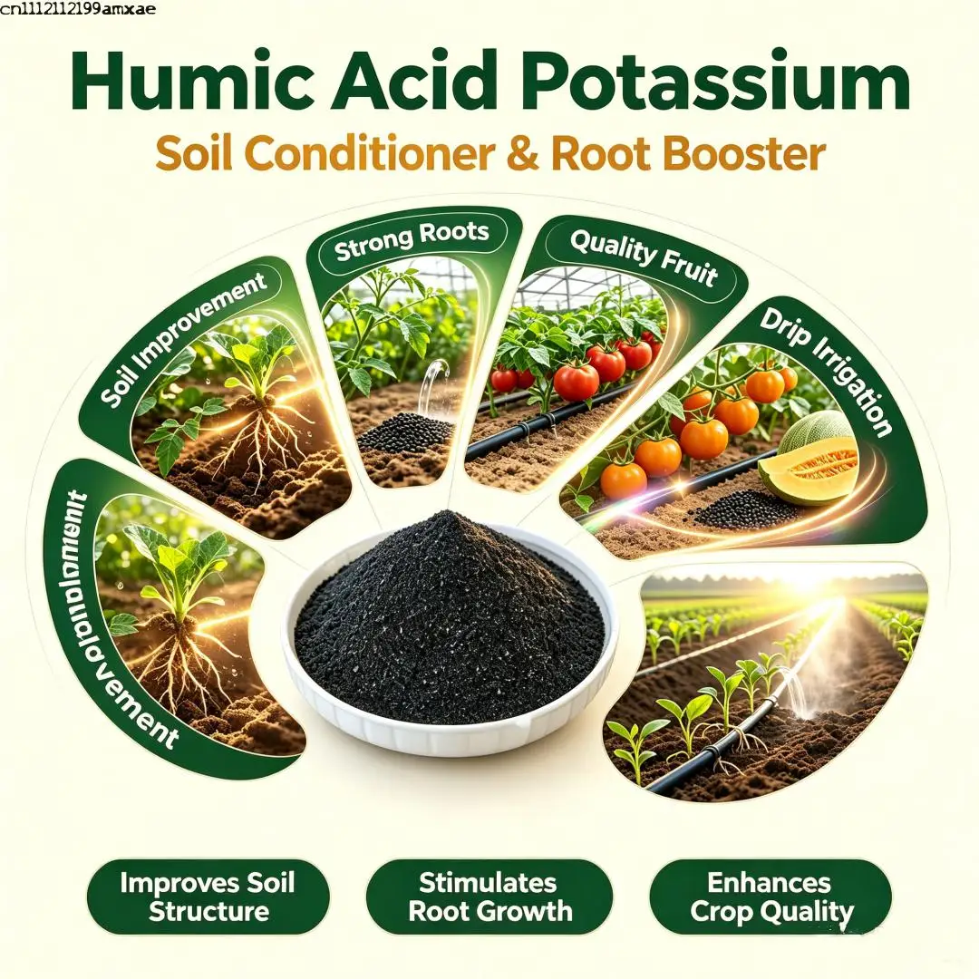 Natural Mineral Source Soil Conditioner Humic Acid Potassium, Boost Root Growth, Improve Soil Structure for Garden Farm Crops