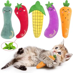 Catnip Toys for Cats, Cat Toys for Indoor , Interactive Cat Toy, Cat Chew Toy, Cat Pillow Toys, Cat Toys for Kittens Kitty