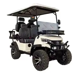 48V 60V 72V Lifted Golf Cart 4 6 8 Person Seater Electric Buggy AC Motor 350CC Gasoline Electric Golf Cart