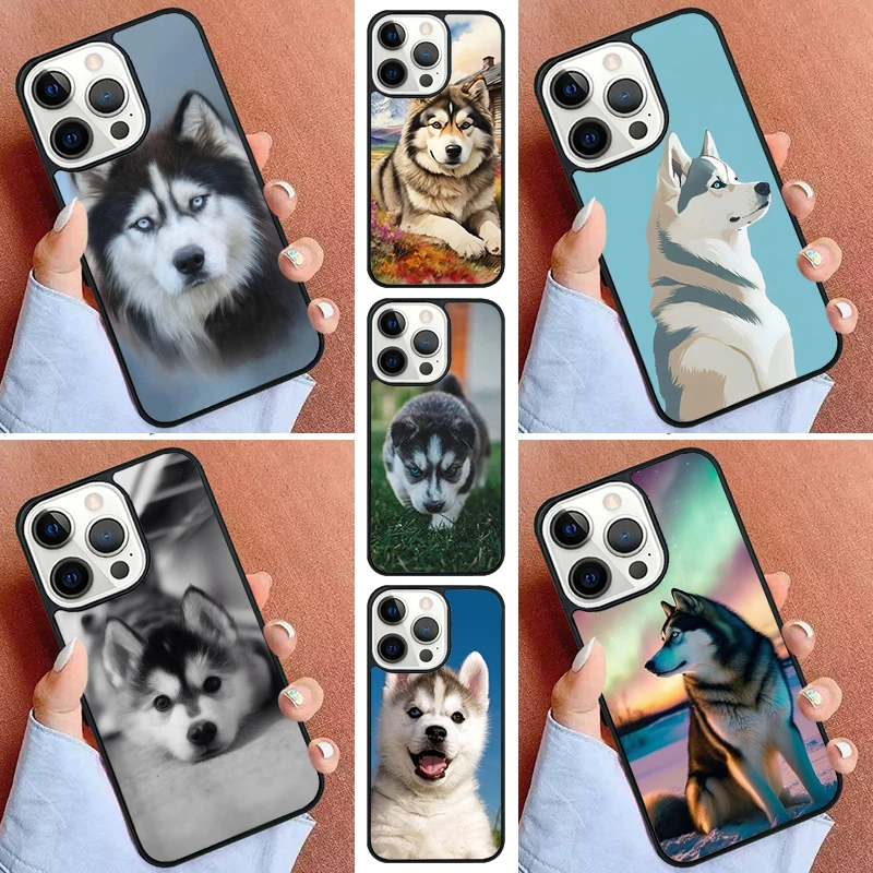 Чехол для iPhone 15 14 Pro Max 11 13 12 Mini X XR XS Max SE 2020 6S 7 8 Plus Чехол для iPhone 15 14 Pro Max 11 13 12 Mini X XR XS Max SE 2020 6S 7 8 Plus