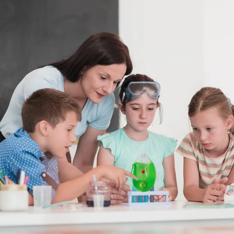 Single Cell Plant Anatomical Model Chlamydomonas Model for School Teaching