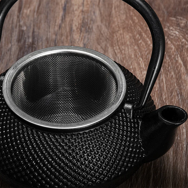 300ML Tea Pot with Stainless Steel Infuser Cast Iron Teapot Tea Kettle for Boiling Water Oolong Tea