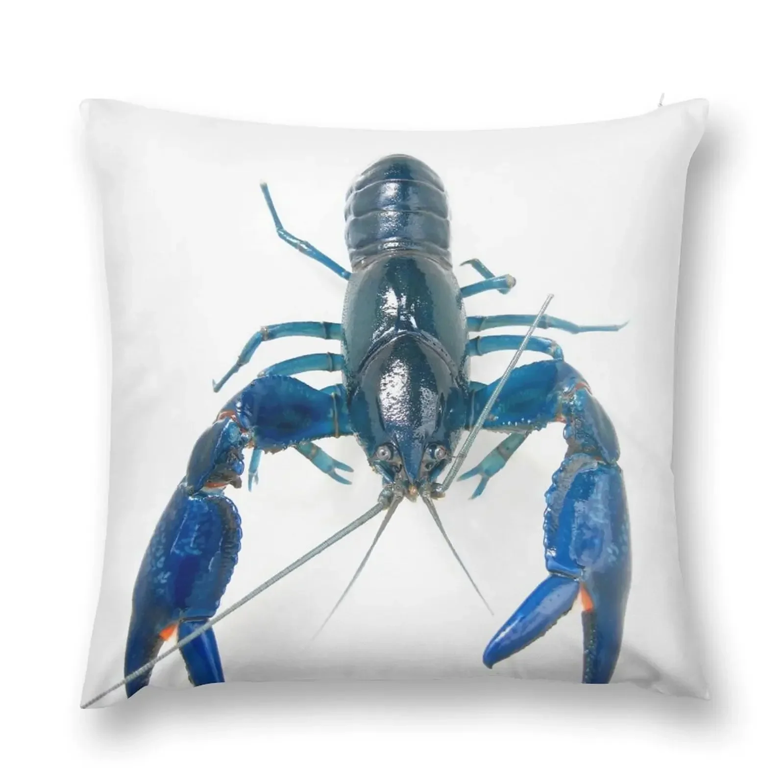 

Australian Blue Yabby - Cherax destructor Throw Pillow Pillowcase Decorative Cushion Decorative Sofa Cushions pillow