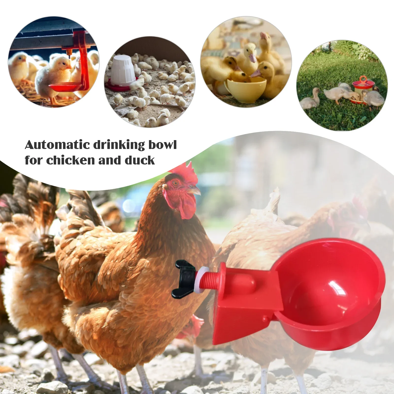 24-6Pcs Chicken Drinking Cup Automatic Duck Drinker Chicken Feeder Watering Bowl Plastic Poultry Farm Water Drinking Cups