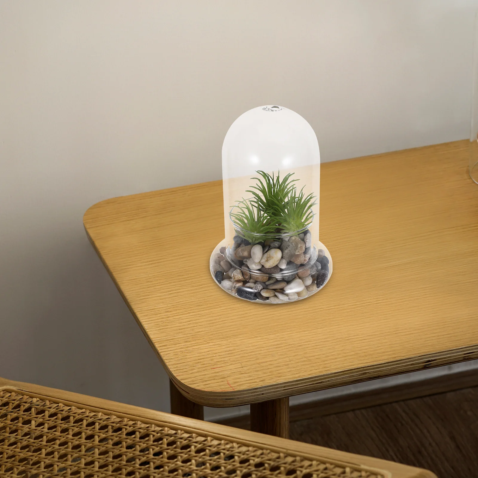 

2Pcs Ecological Bottle Terrarium Glass Jar for Micro Landscape DIY Decoration High Borosilicate Moss Bottle Home Office Living