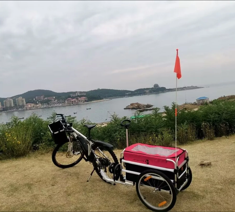 

Велосипедный прицеп из алюминиевого сплава, амортизирующий тип, багажный прицеп, товары, ручной прицеп, задний прицеп, кемпинг, открытый велосипед