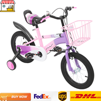 14 inches Purple/Blue Kids' Bike for 4-6 Years Girls Boys| Children Cycling Training Bicycle