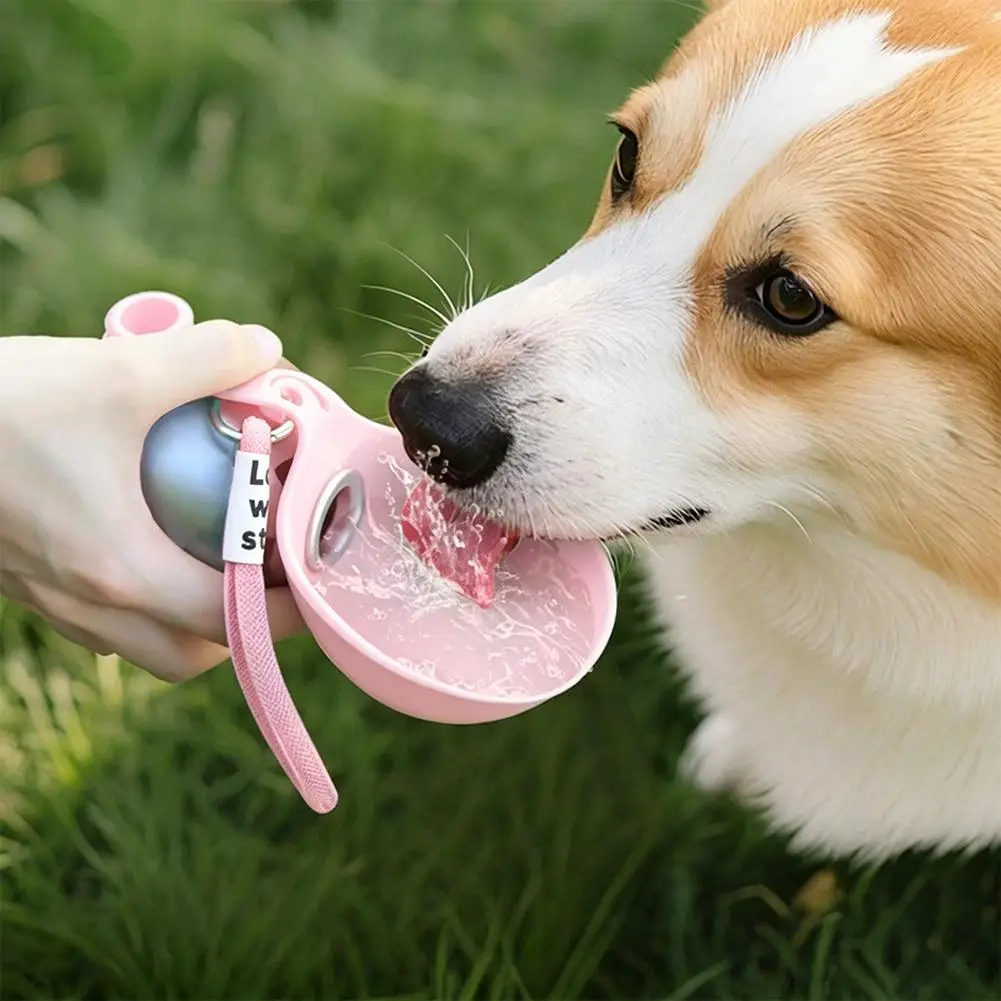 Thumbnail 2 - #55 Most Reviewed Stainless Steel Dog Bowls
