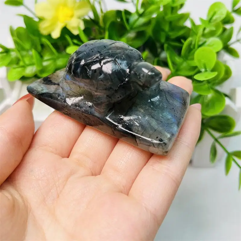 Natural Freeform Labradorite Tortoise Carving Statues Crystal Animal Cute Carving Figurine For Christmas Gift 1pcs image 6