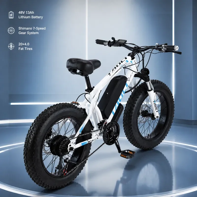 20 Inch Fat Tire Electric Bicycle 4.0 Wide Tire Snow Bike Variable Speed Off Road Mountain E Bike for Snow Sand
