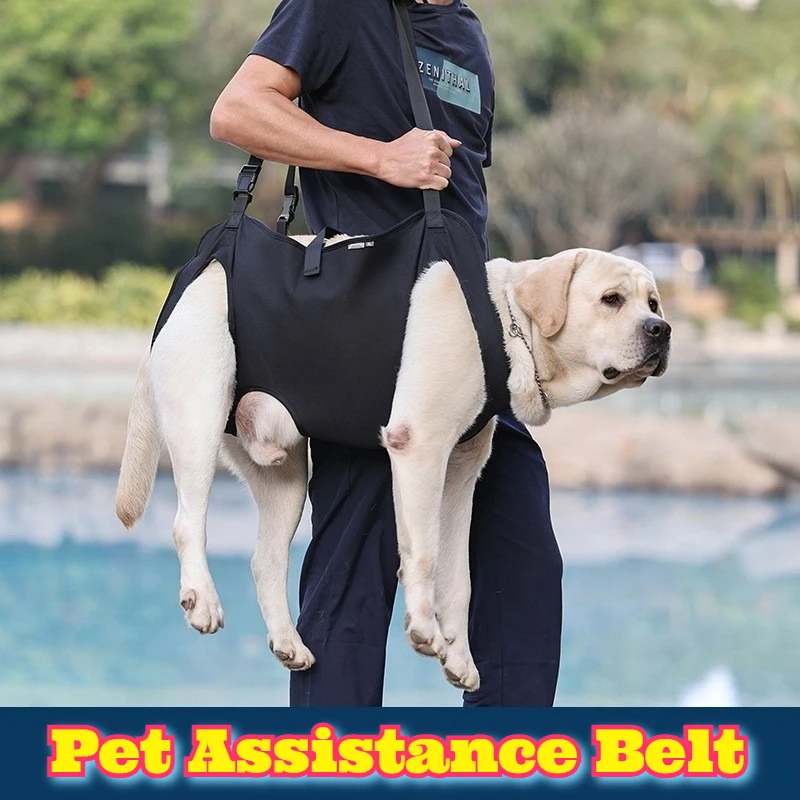 

Dog Hind Leg Support Harness Lift Sling Elderly Senior Pets Disability Paralysis Waist Strap Mobility Aid Walking Assistance