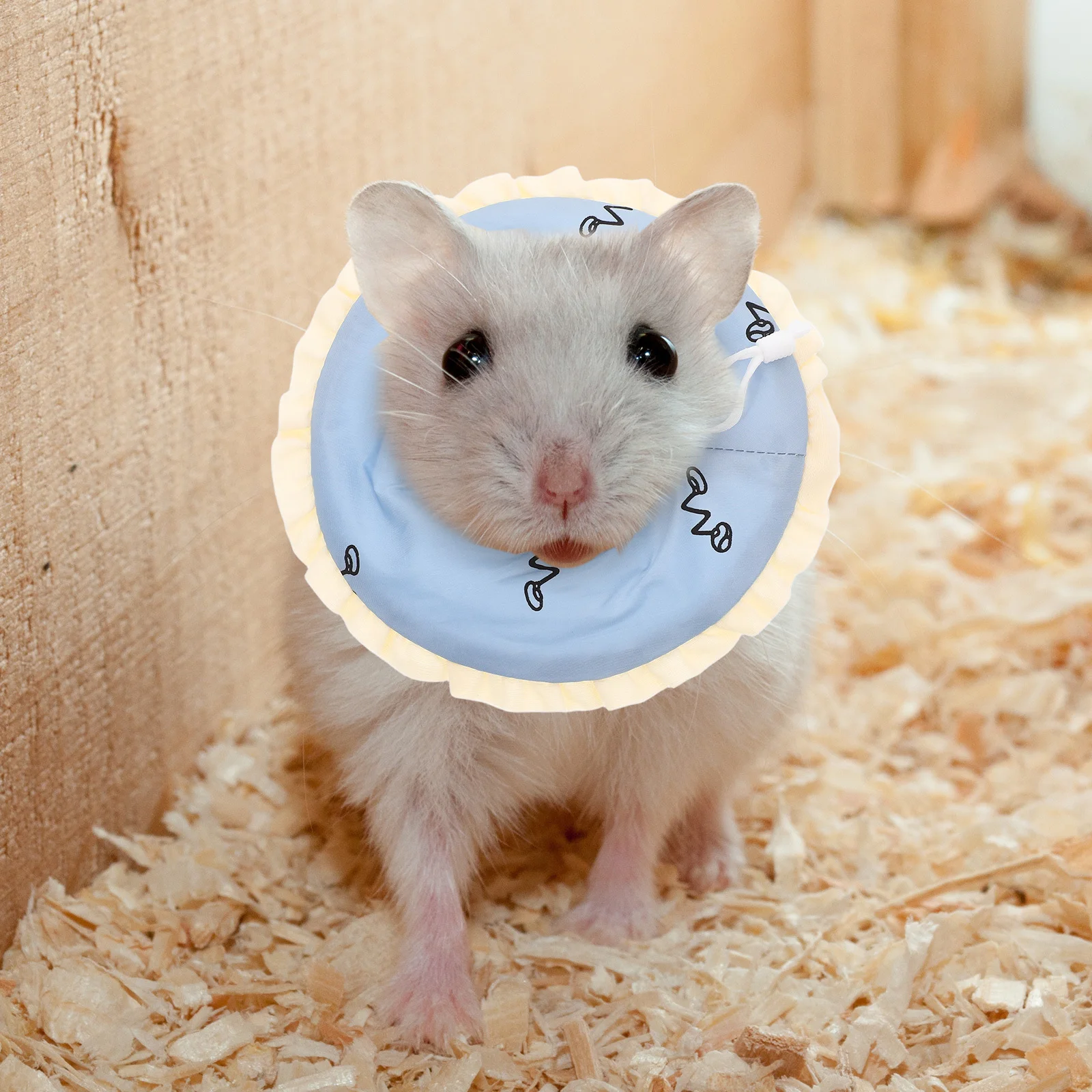 

Small Pet Recovery Collar for Guinea Pig Hamster Adjustable Anti-Licking Anti-Scratch Breathable Protection Circle Postoperative