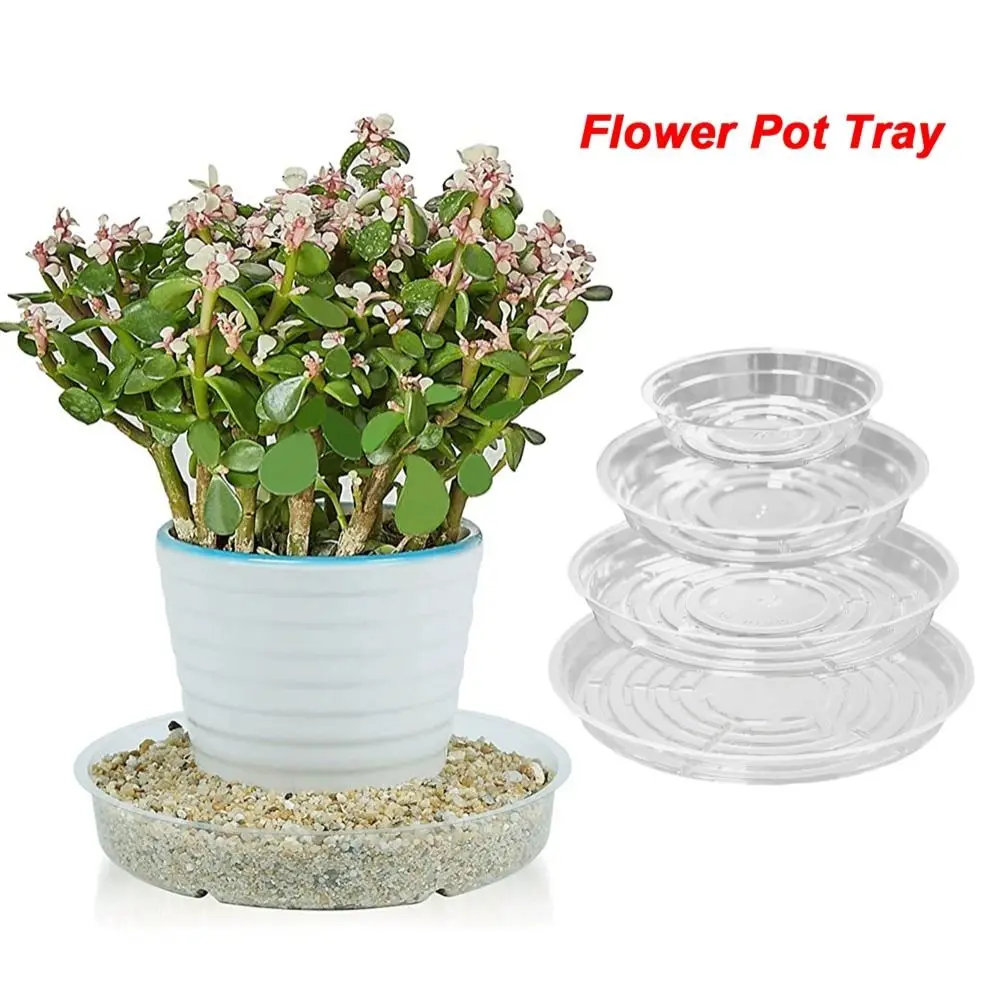 5Pcs Flower Pot Tray Plant Dishes Saucer Plates to Catch Water Indoor Plants Plastic Trays Moisture Clear Saucers