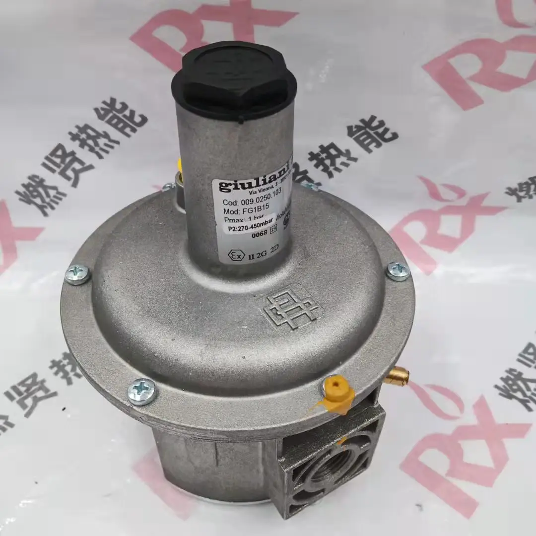 2025 20 in stock, Italy Giuliani, pressure reducing valve FG1B15 original new quality assurance one year