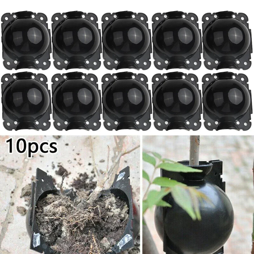 10Pcs Plant Root Growing Boxes Cutting Grafting Rooting Boxes High Pressure Propagation Ball For Garden Graft Box Breeding Case