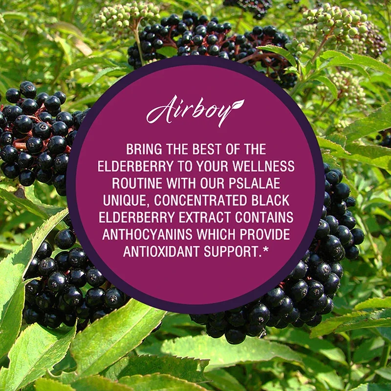 Black Elderberry - Helps with Skin, Immune Health, Promotes Nutrient Absorption, Improves Cell Activity and Elasticity