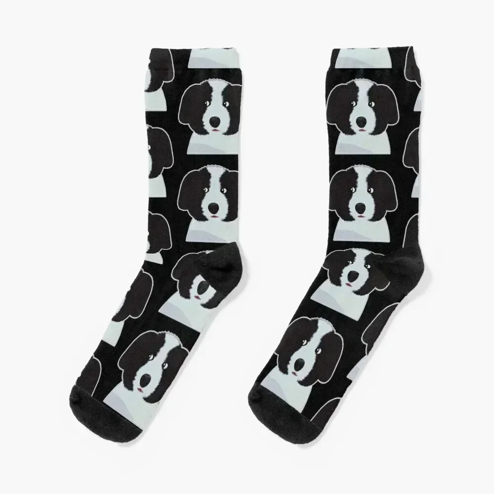 

Bordoodle & Bernedoodle Socks fashionable short colored Toe sports Socks Men Women's