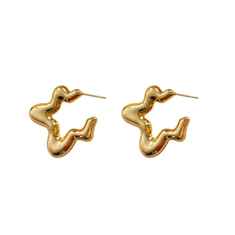 Modern Jewelry European and American Design Irregular Metal Earrings For Women Party Gifts Simply Ear Accessories Hot Sale
