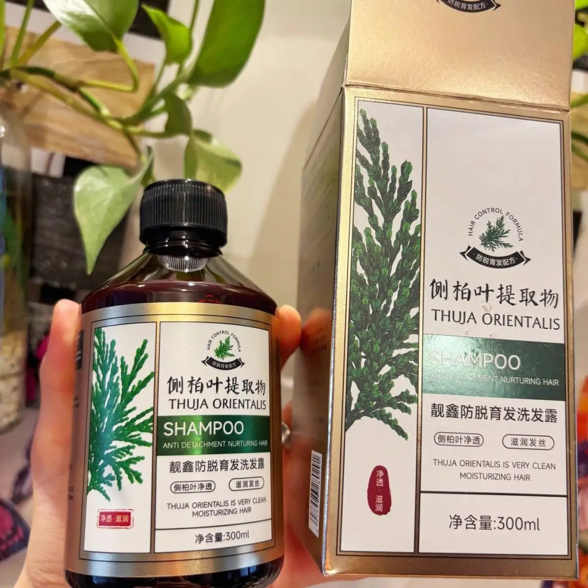 HongKong Thuja Orientalis Hair Growth Shampoo for Thinning Hair for Treatment for Gray Thicker Hair Prevent Hair Loss 300ML