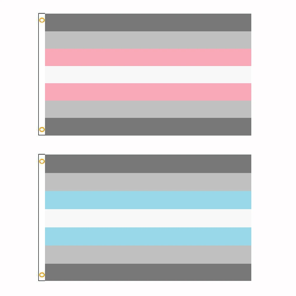 FLAGLINK Demiboy Pride Flag 3x5 Fts LGBTQIA Demi Man Geschlecht zur Dekoration