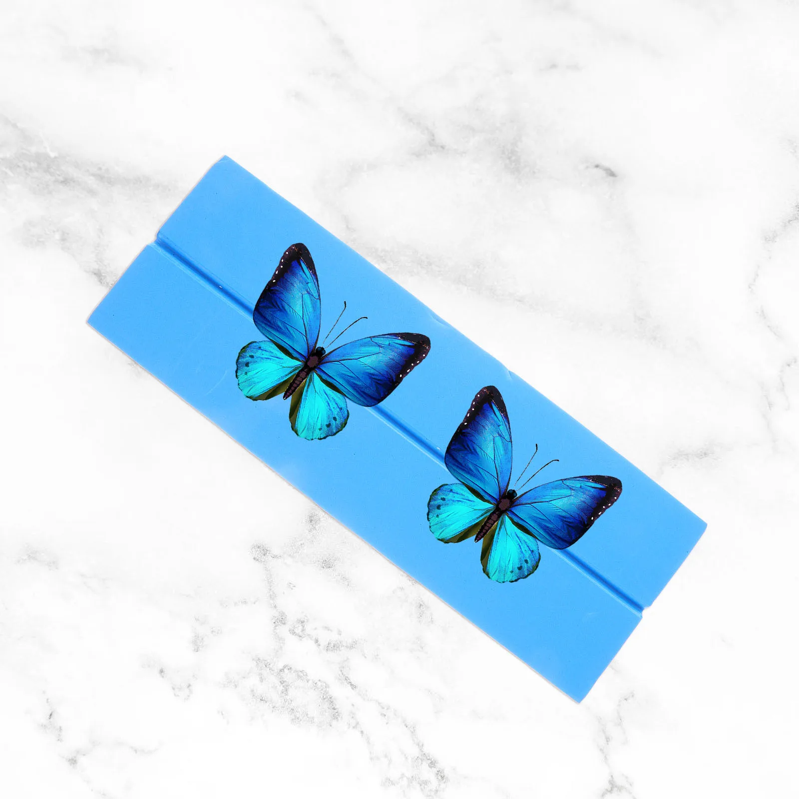 Butterfly Spreading Board Durable Foam Mounting Tool Compact Design Easy To Use Specimen Display Pinning Board For Insect