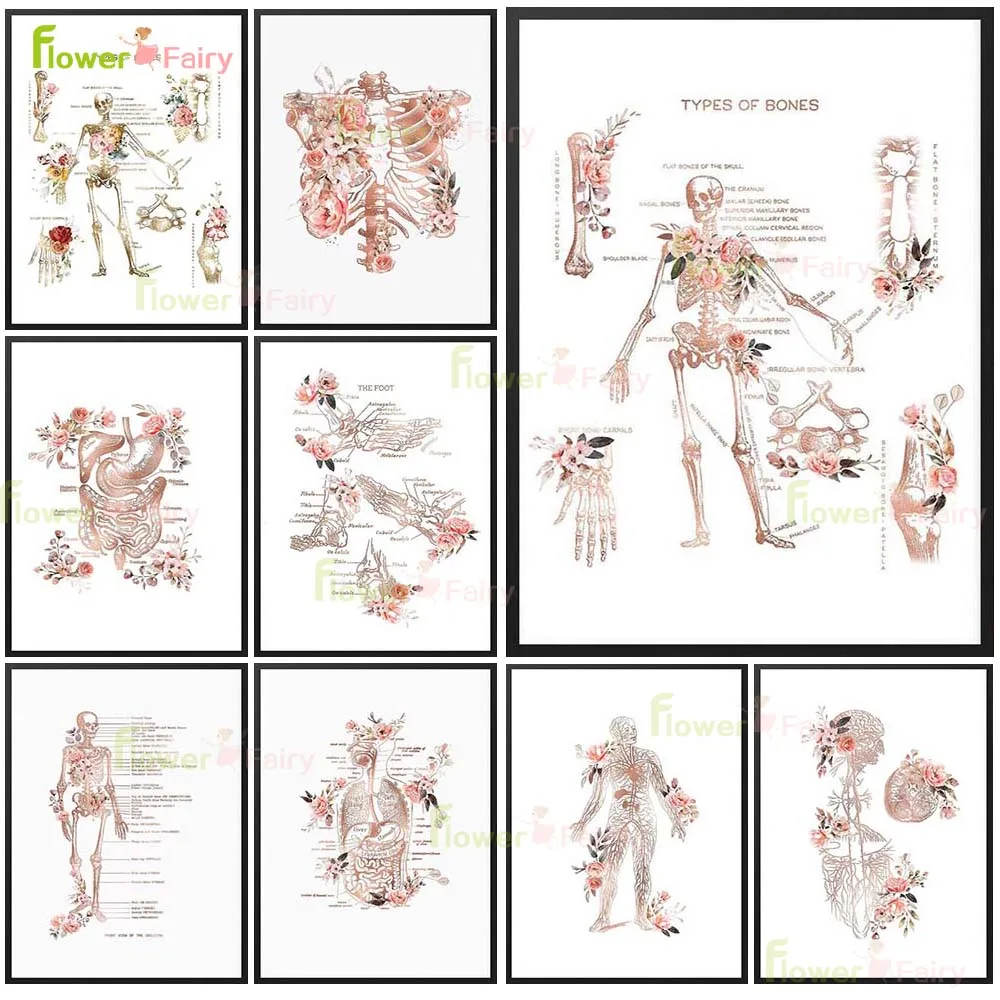 Anatomy Flower Organ Trunk Limb Poster Wall Art Canvas Painting Medical Science Decor Wall Pictures For Living Room Unframed