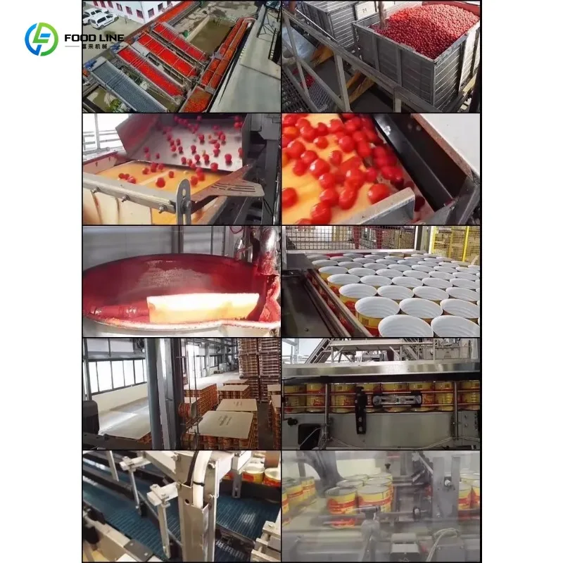 Customized Automatic Canned Ketchup Paste Filling Machine Ketchup Production Line Equipment