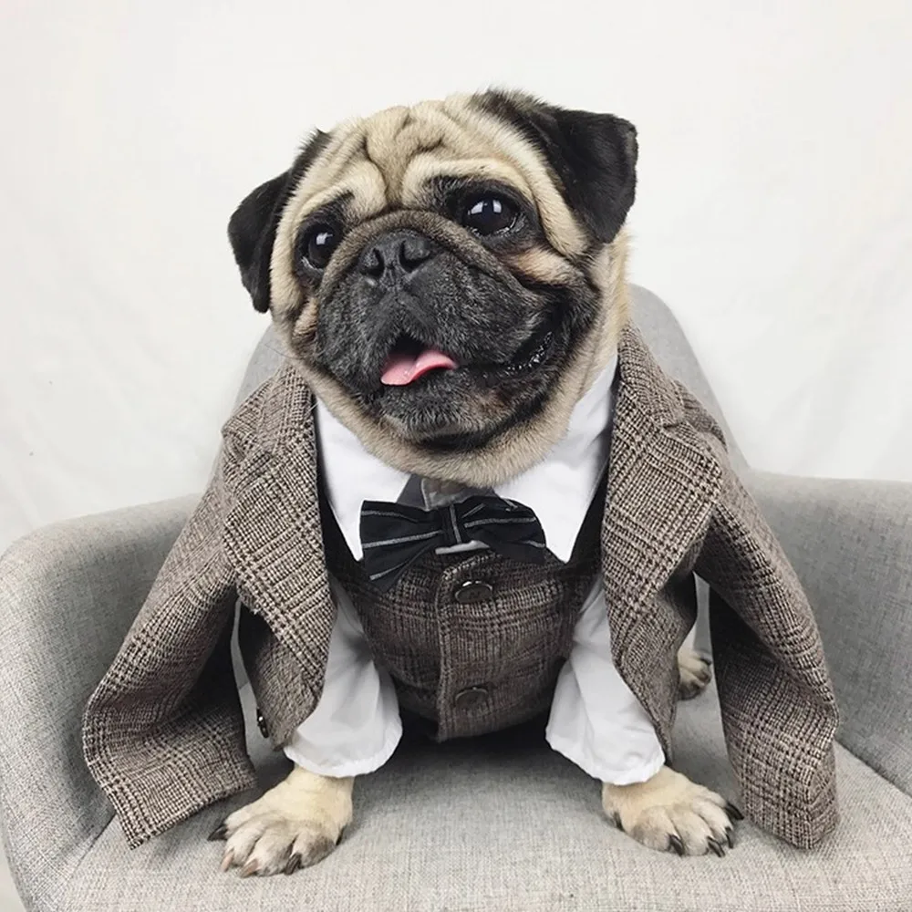 

Fashion Trend Design Gentleman Pet Suit Tweed Dog Vest Jacket