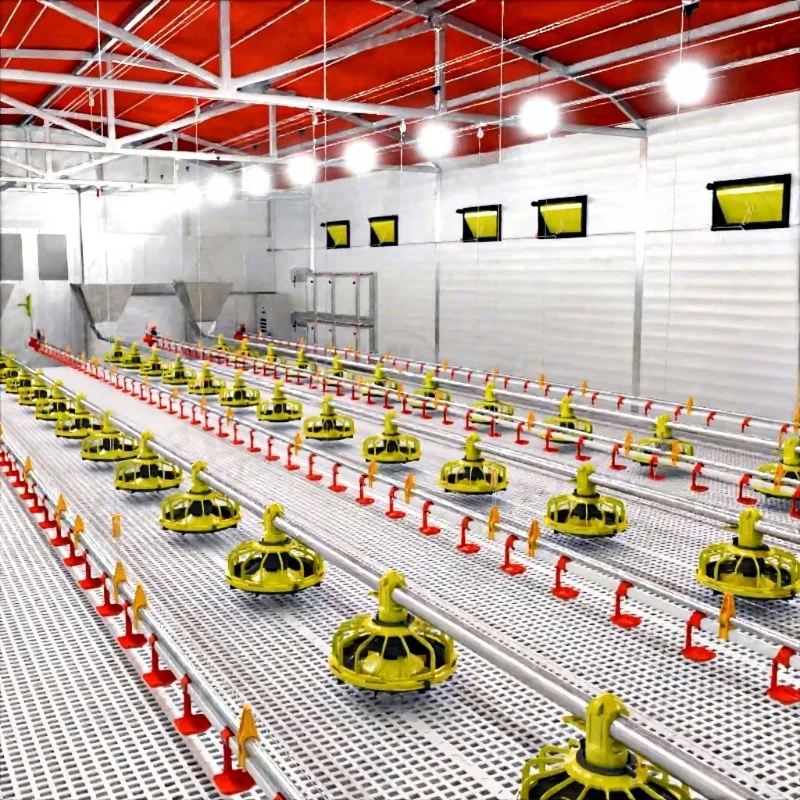 Modern Fully Automatic Poultry Farming Equipment for Chicken Farm Broiler Floor Raising