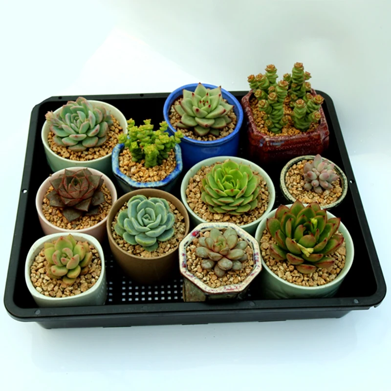 5Pcs Seedling Tray Plant Grower Dish Seedling Basin Thickening Seedling Tray For Agriculture Garden Home Balcony 37X30cm