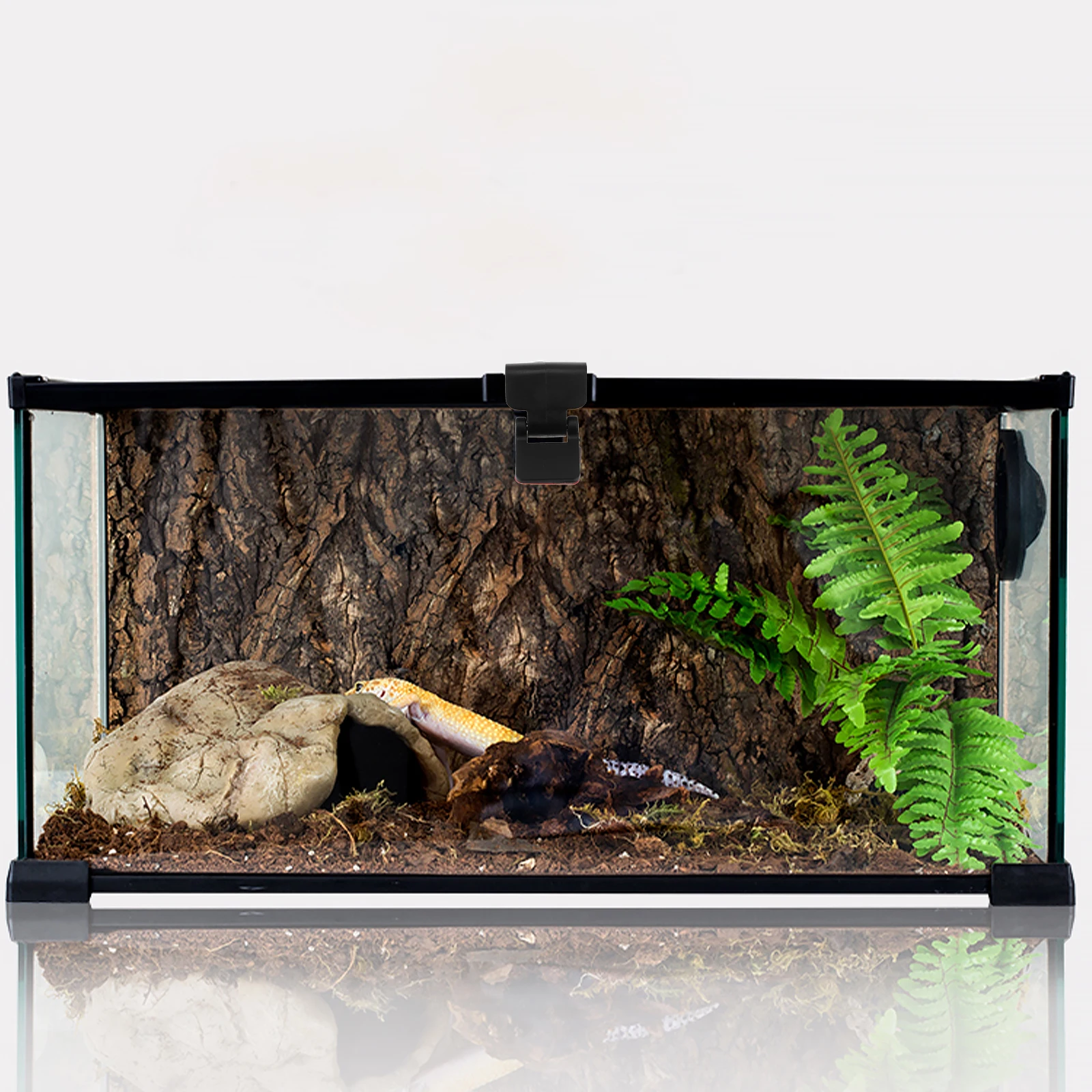 

4pcs Anti escape Lock Buckle for Turtle Terrarium Glass Tank Reptile Feeding Box Latch Aquarium Supplies Durability Easy
