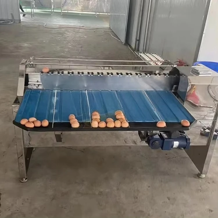 Small Scale Automatic Chicken Egg Sorting Machine Customized Weight Size Classify Grader Egg Grade Machine by Weight Stable