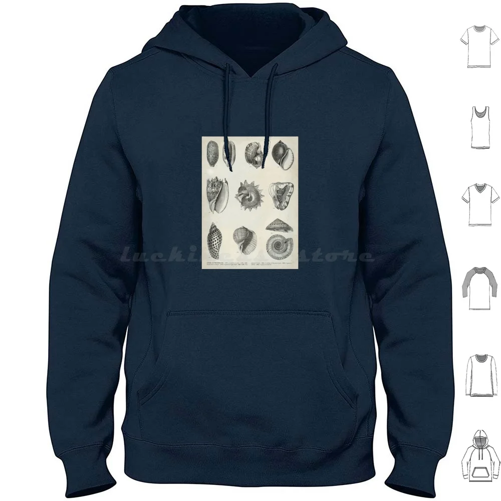 Vintage Shell Illustrations Hoodies Long Sleeve Beach Conch Snail Mollusk Ocean Sea Old Water Crab Hermit Diagram