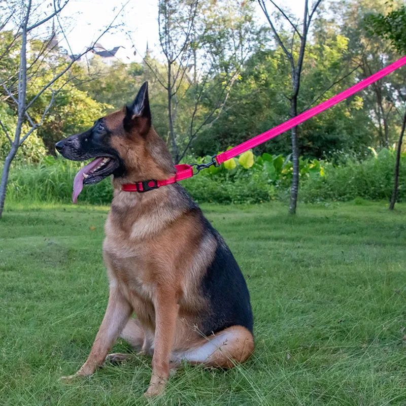 

PARKER Dog Leash Pet Thickened Reflective Nylon Leash Explosion-proof Leash Suitable for All Kinds of Dogs Pet Leash