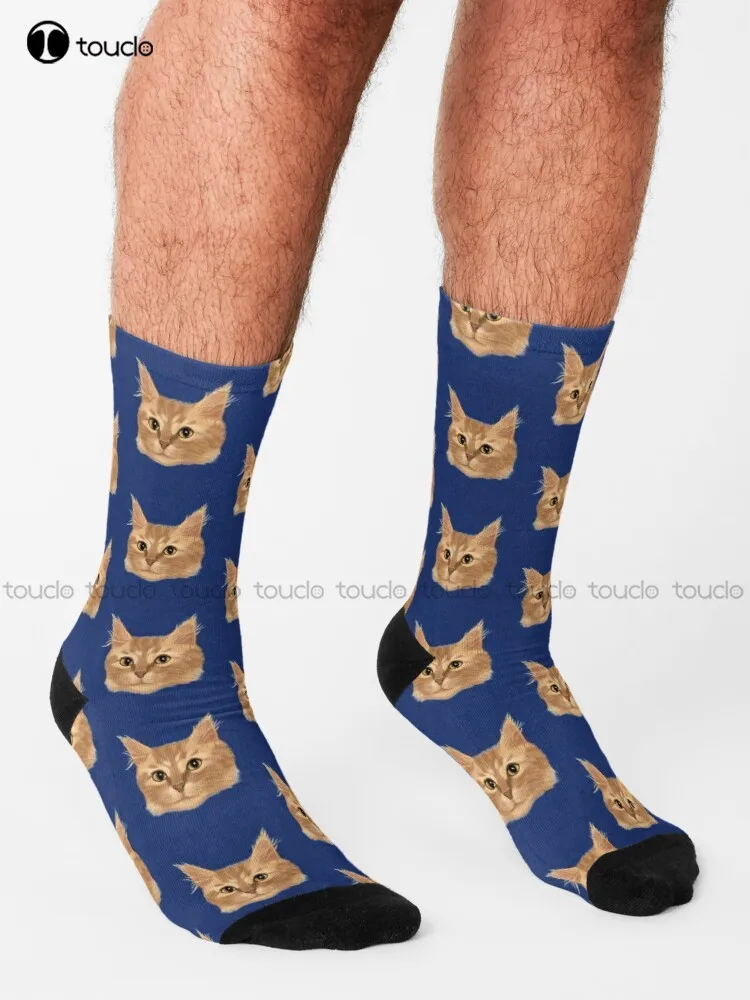 Orange Tabby Cat Portrait Socks Bulk Socks Cartoon Comfortable Best Girls Sports 360° Digital Print Custom Gift Streetwear Retro